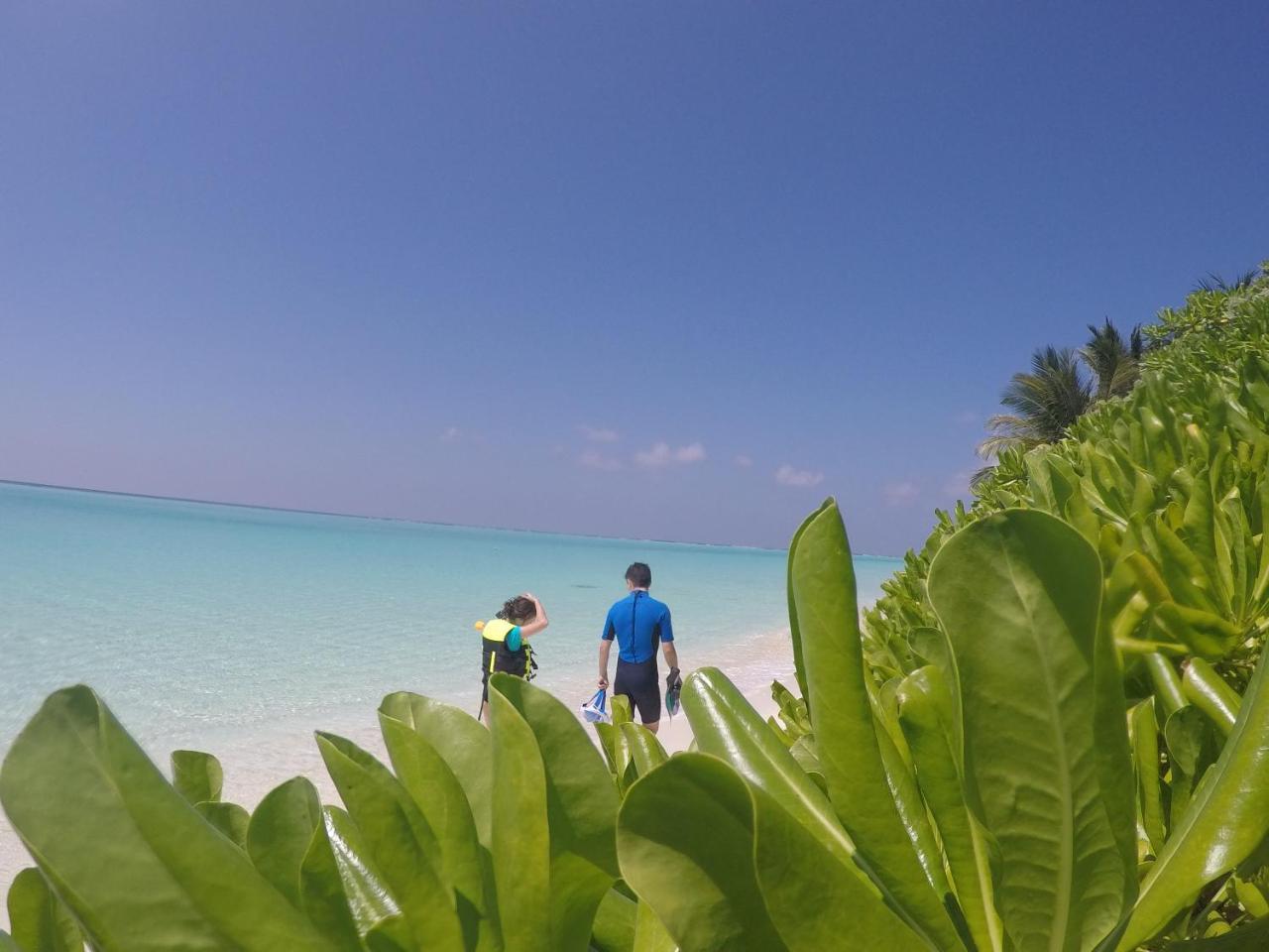 Thoddoo Beach Holiday Exterior foto